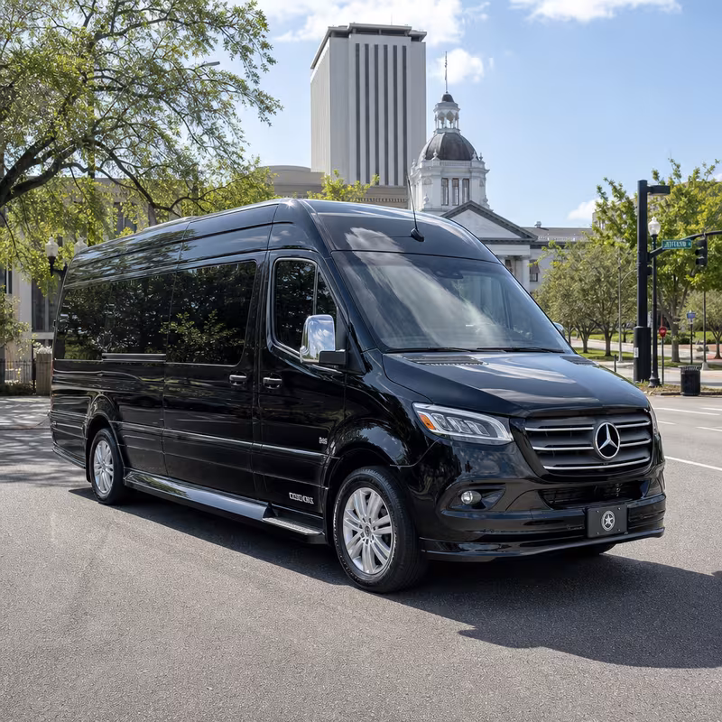 14 Passenger Sprinter Limo